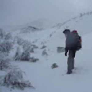 Meet your Posher, Charles